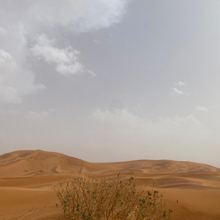 Erg Chebbi Sahara Camp Hotel Мерцуга Екстериор снимка
